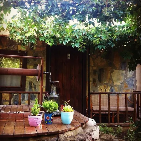 Yamac * Selimiye (Aegean)