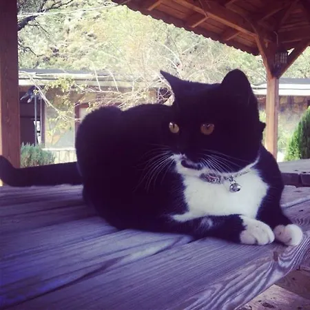 Yamac * Selimiye (Aegean)