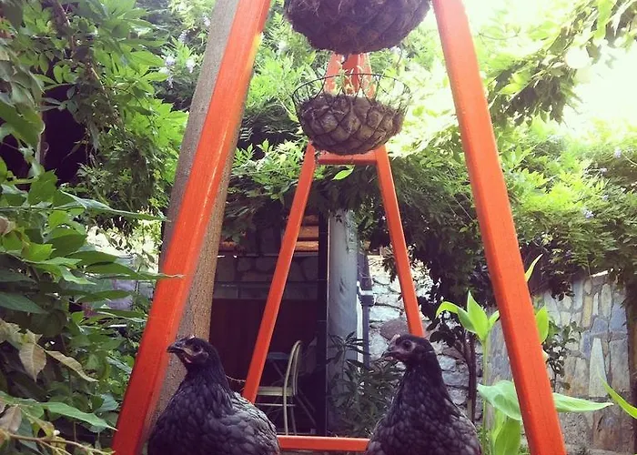 מוטל Yamac סלימייה