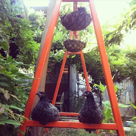 מוטל Yamac סלימייה