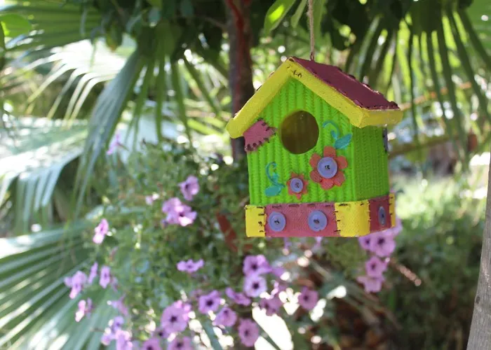 Yamac * Селемие