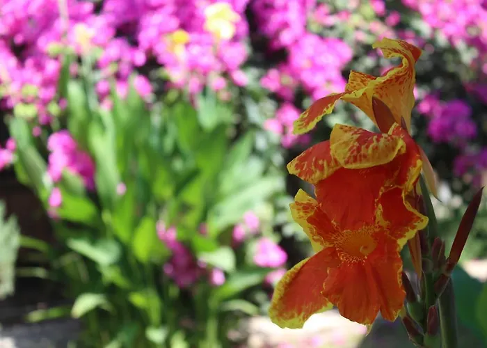 Yamac Мотель Селемие