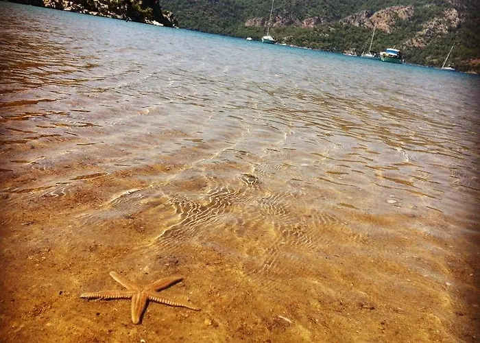 Yamac Мотель Селемие