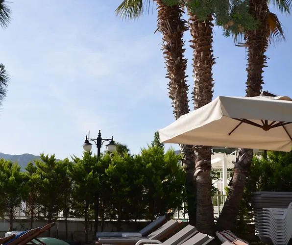 Yamac * Селемие